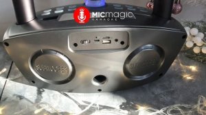 Караоке система SDRD SD-306 Plus с двумя микрофонами Сова