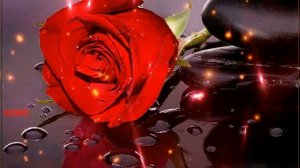 477. Владимир Ждамиров - Я подарю тебе цветы. НОВИНКИ ШАНСОНА.