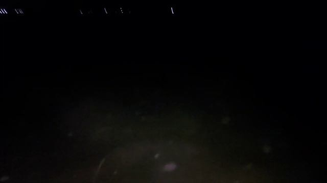 Ташкент. Старую собаку выгнали из дома. нашла ее, без еды и воды. 11 лет сидела на цепи. смотреть онлайн