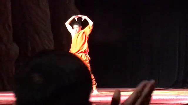 Espectáculo Shaolin en el Hotel Chan Wu смотреть онлайн