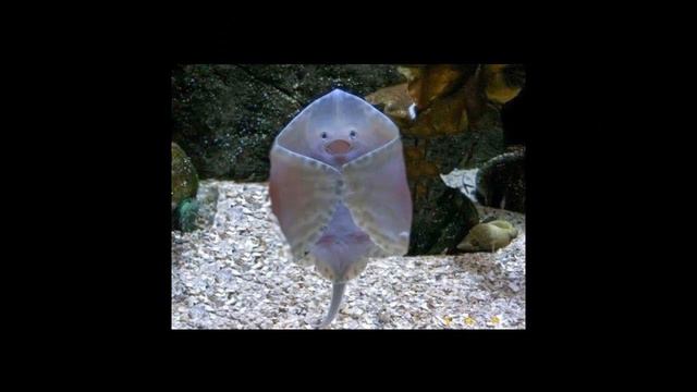 Красивый кадр смотреть онлайн