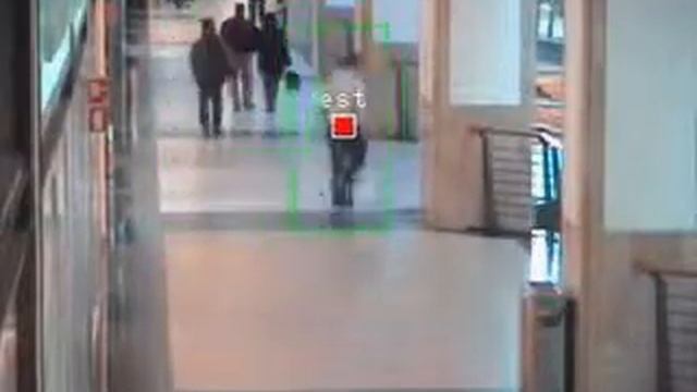 HOG Detection & Kalman Filter Tracking смотреть онлайн