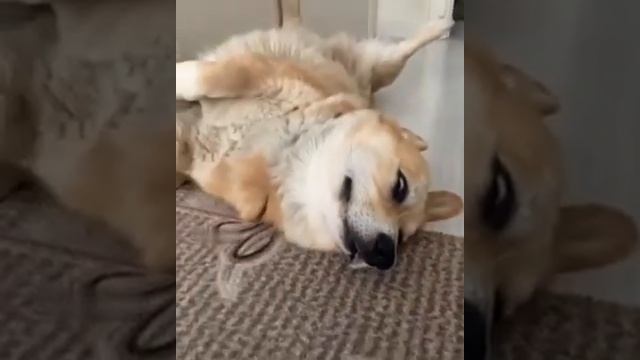 Как нужно относиться к делам)) смотреть онлайн