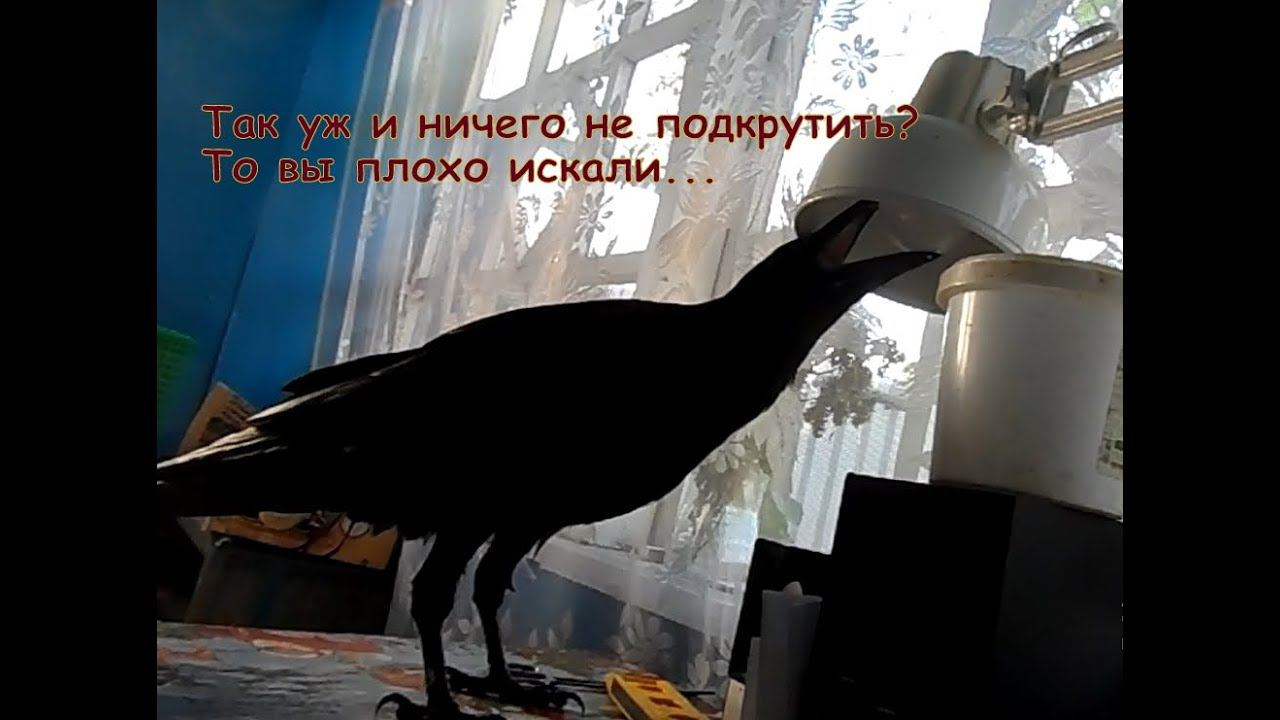 Мардук против. смотреть онлайн