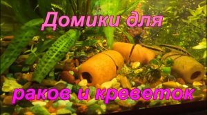 Домики для раков и креветок.