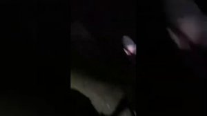 Боб денсит под песню!!!Дети-Рейв «Я сегодня не поседа я ракета я торпеда».Смотреть всем!!!