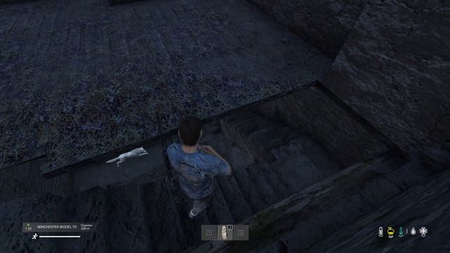 Как выжить в DayZ если напали волки и нет оружия смотреть онлайн