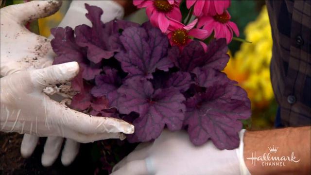 Autumn Container Gardens - Home & Family смотреть онлайн