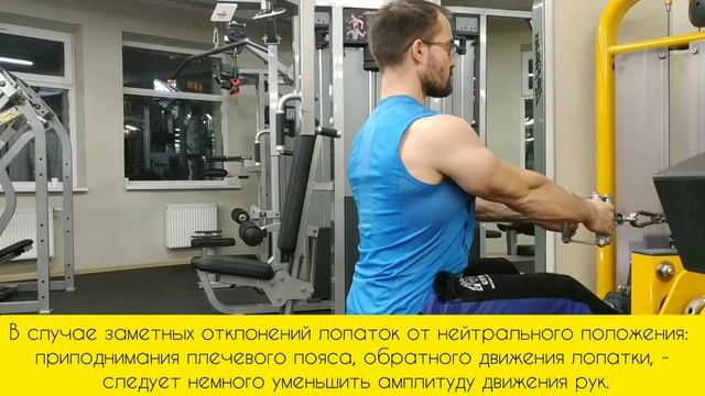 Горизонтальная тяга двумя руками смотреть онлайн