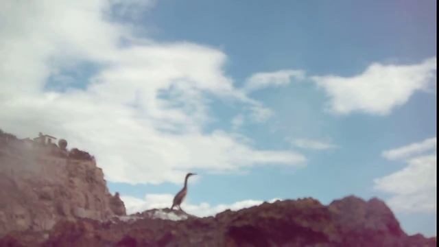 КРЫМ-Родина. Новый Свет-Весёлое-Морское смотреть онлайн