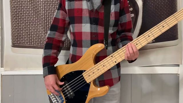 Paramore - Franklin Bass Cover смотреть онлайн