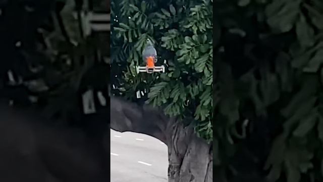 новшество смотреть онлайн