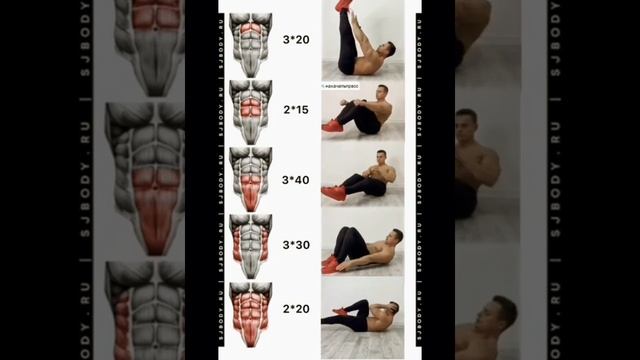 Как накачать пресс в домашних условиях за 1-2 недели делая простые упражнения #sorts #пресс #спорт смотреть онлайн