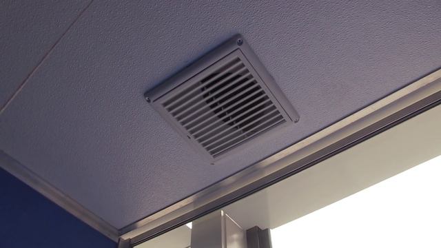 Newly renovated cat adoptions center helps our stars shine || The Lost Dogs' Home смотреть онлайн