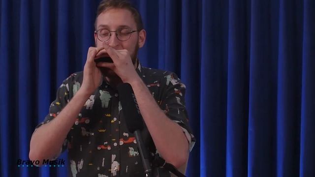 Bravo Musik & Suzuki Blues Harmonica. Hammond HA-20, Promaster MR-350 & Promaster MR-350V Velved