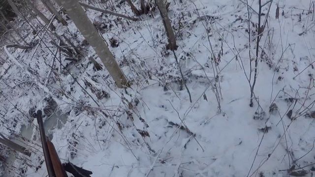 Охота на рябчика в ноябре,досадные промахи смотреть онлайн