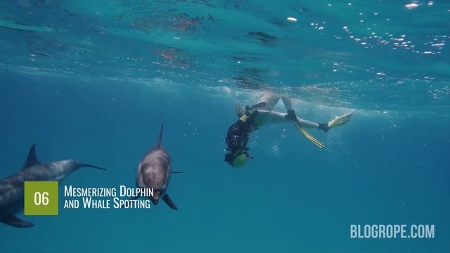 10 Best Things To Do In Maldives