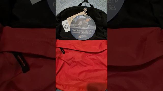 рюкзак 'спасите черепах ' спасибо я поржал смотреть онлайн