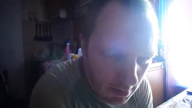 Конь в пальто