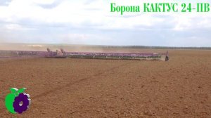 Борона пружинная (штригельная) КАКТУС-24ПВ
