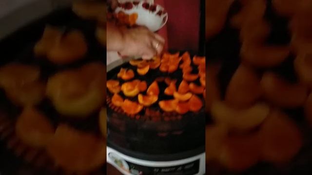 Кто куда, а я сушить абрикосы! смотреть онлайн