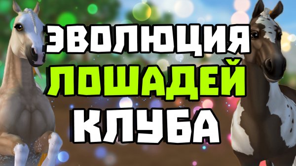 ЭВОЛЮЦИЯ ЛОШАДЕЙ КЛУБА Chinchilla Forest | НАМ СКОРО 2 ГОДА | Star Stable