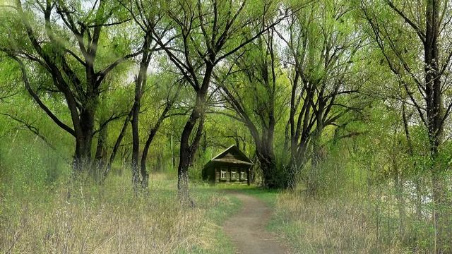 Весна лес птицы дом смотреть онлайн