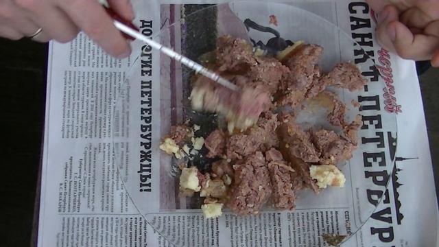 Тушёнка! Сделано в Монголии! говядина высший сорт гост 2013! "preppers" смотреть онлайн