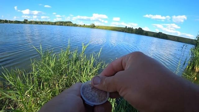 КАРАСЬ УТАЩИЛ УДОЧКУ - ПЕРВЫЙ КАРП СЫНА! Рыбалка на донку и поплавок, с дедушкой и Глебусом. смотреть онлайн