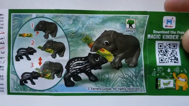 Kinder Surprise - Girl Edition - Unboxing (NATOONS DV021) #14 смотреть онлайн