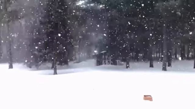 снегопад, снежный лес пиано, piano snow forest. нежная музыка. смотреть онлайн