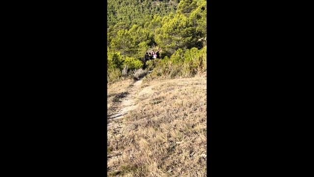 FINESTRAT | Scott Spark | Grupeta Top | Serranito Race | смотреть онлайн