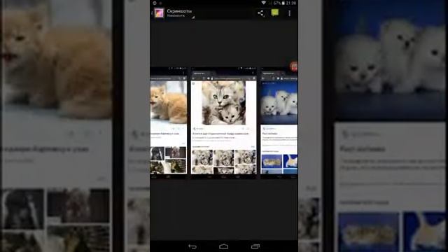 клип улети поют котята смотреть онлайн