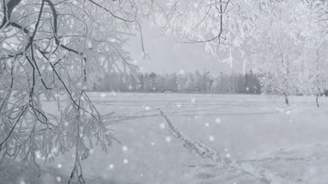 ПОЁТ: Виктор Смирнов - Белая вьюга смотреть онлайн