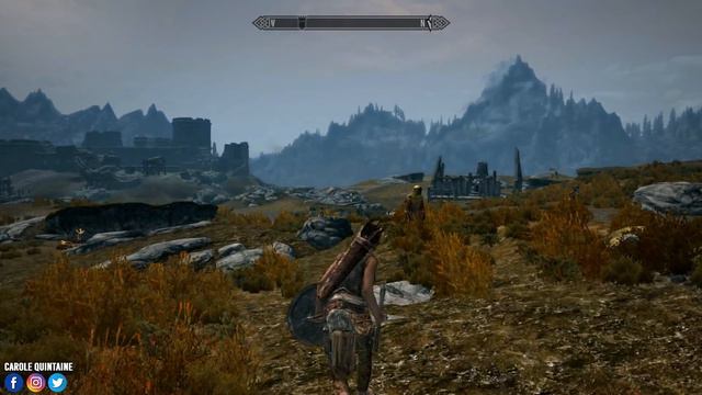 SKYRIM NINTENDO SWITCH : MON TEST ! смотреть онлайн