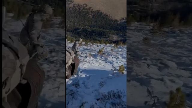 Охота в Горном Алтае!!! смотреть онлайн