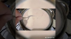 Домашний сыр из ряженки со вкусом топленого молока