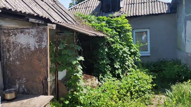 Купили дачу, первые шаги в качестве владельца смотреть онлайн