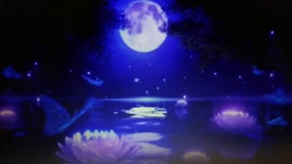 ЦАРЬ МАТРИЦА П. ГАРЯЕВА ИСЦЕЛЕНИЕ ЗУБОВ, ДЁСЕН, ЧЕЛЮСТЕЙ И РОТОВОЙ ПОЛОСТИ! 16/12/2023 г.