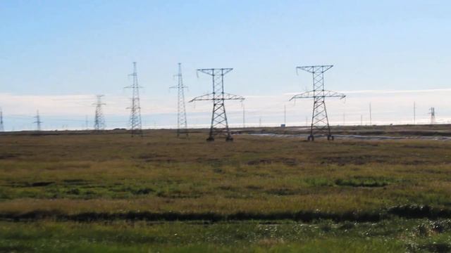 Блюзовая Птичка & The Blues Bird & Where Blues Begins & Dana Gillespie смотреть онлайн