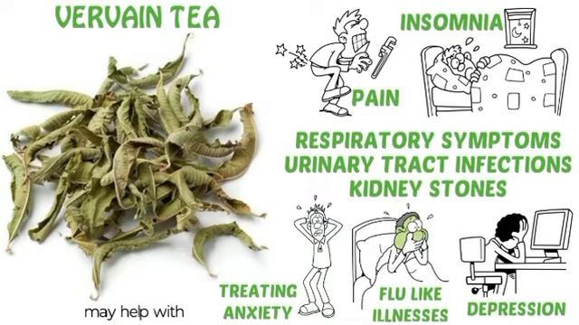 ZNAYORGANICS VERVAIN TEA смотреть онлайн