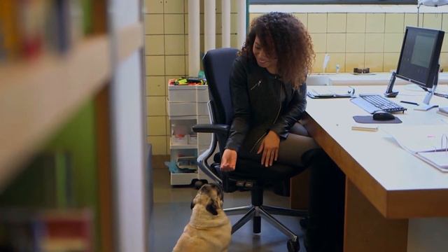 10 Best Dog Breeds For First Time Owners