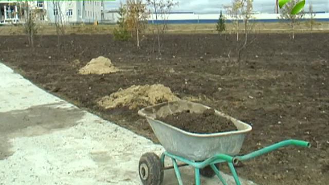 На проспекте Молодежи окружной столицы зашумели молодые деревья смотреть онлайн