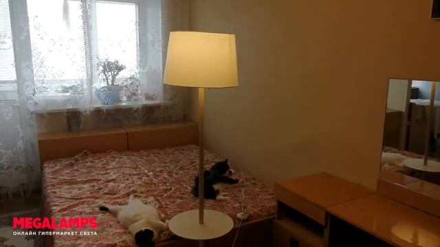 Отзыв на торшер с полкой Arte Lamp Connor смотреть онлайн
