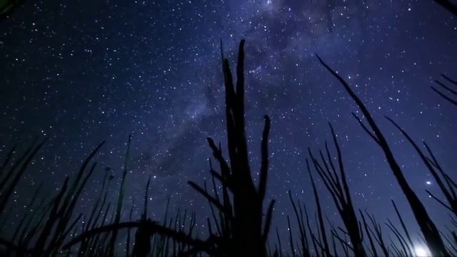 RAINBOW - The Temple Of The King . смотреть онлайн