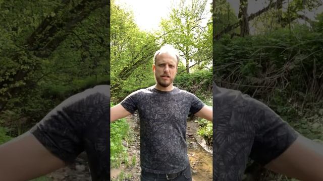 Ежеле я дрищь