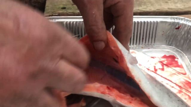 Цвет мяса нашей карельской форели смотреть онлайн