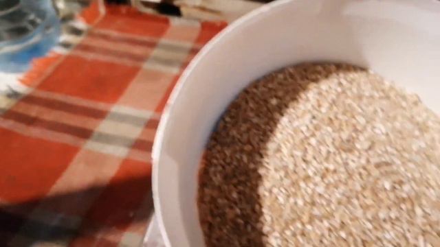 Куры не несуться и понятно почему....... смотреть онлайн