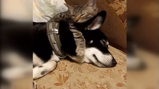 Любить, так любить смотреть онлайн