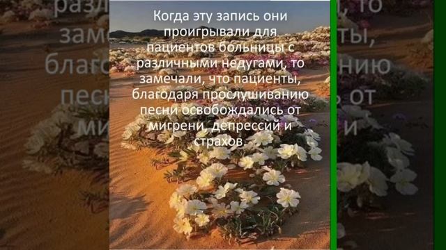 АВЕ МАРИЯ на арамейском языке, на котором говорил Иисус Христос. смотреть онлайн